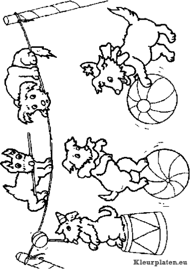 Circus kleurplaten