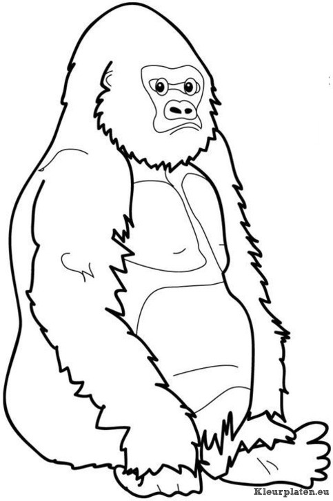 Bokito de gorilla kleurplaat