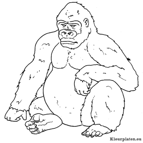 Bokito de gorilla kleurplaten
