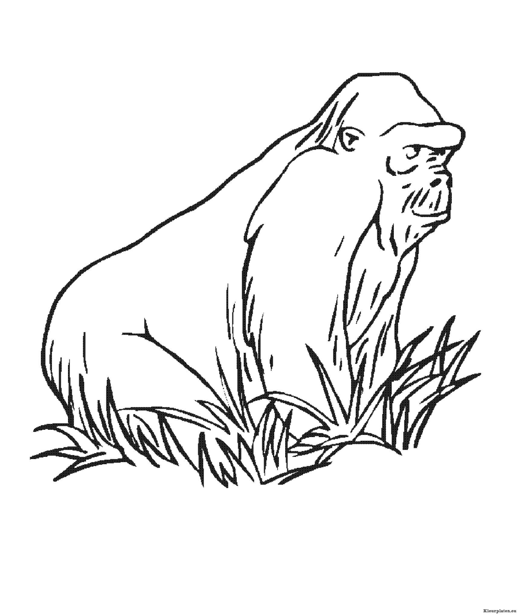 Bokito de gorilla kleurplaten
