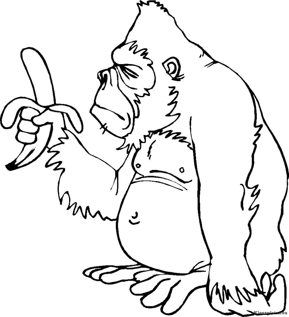 Bokito de gorilla kleurplaat