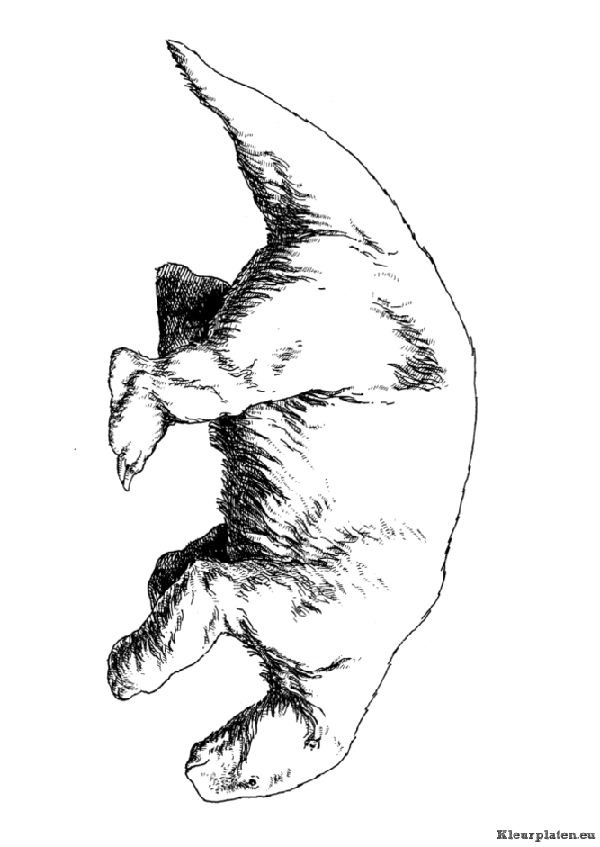 Dieren uit de ijstijd kleurplaten