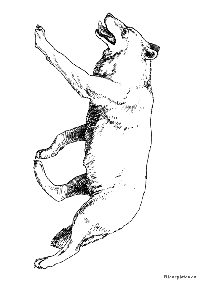 Dieren uit de ijstijd kleurplaten