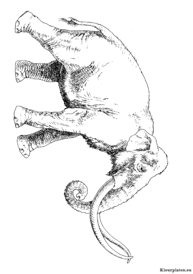 Dieren uit de ijstijd kleurplaten