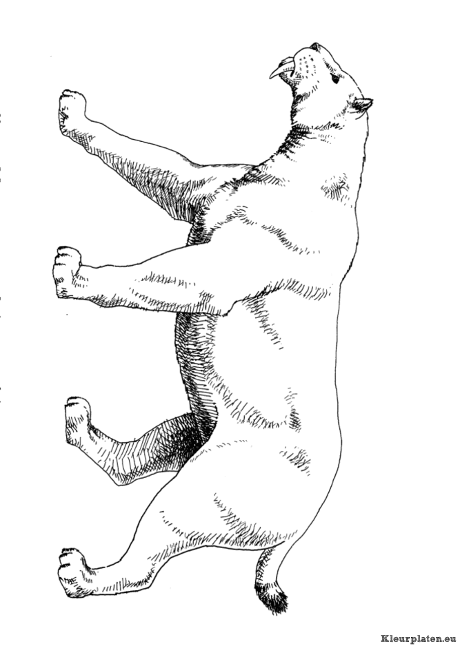 Dieren uit de ijstijd kleurplaten
