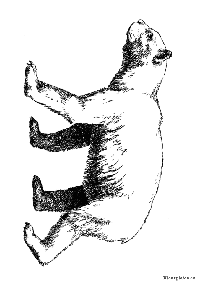 Dieren uit de ijstijd kleurplaten