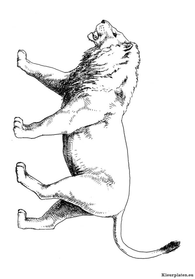 Dieren uit de ijstijd kleurplaten