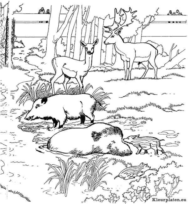 Dierentuin kleurplaten