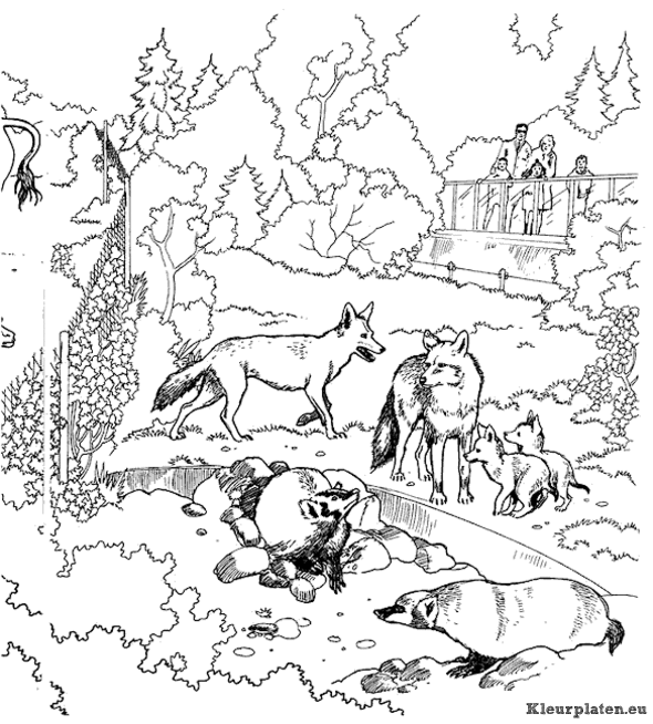 Dierentuin kleurplaten