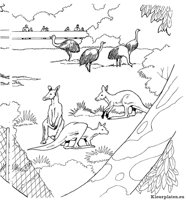 Dierentuin kleurplaten