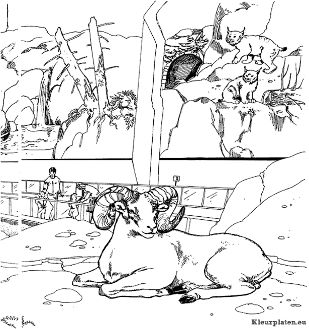 Dierentuin kleurplaten