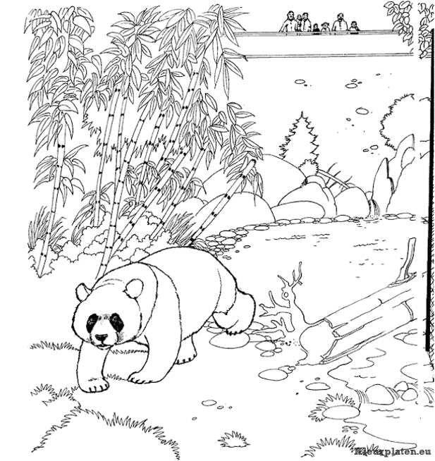 Dierentuin kleurplaten