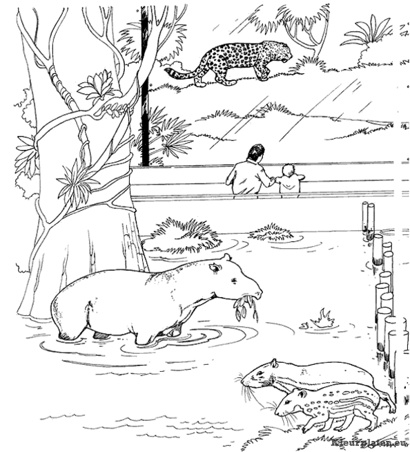 Dierentuin kleurplaten