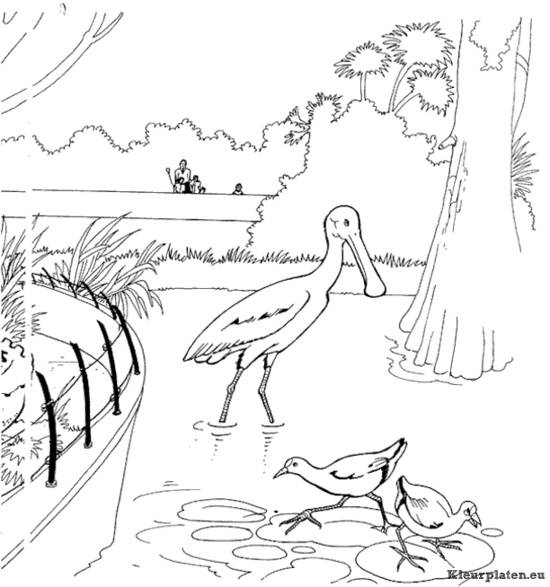 Dierentuin kleurplaten