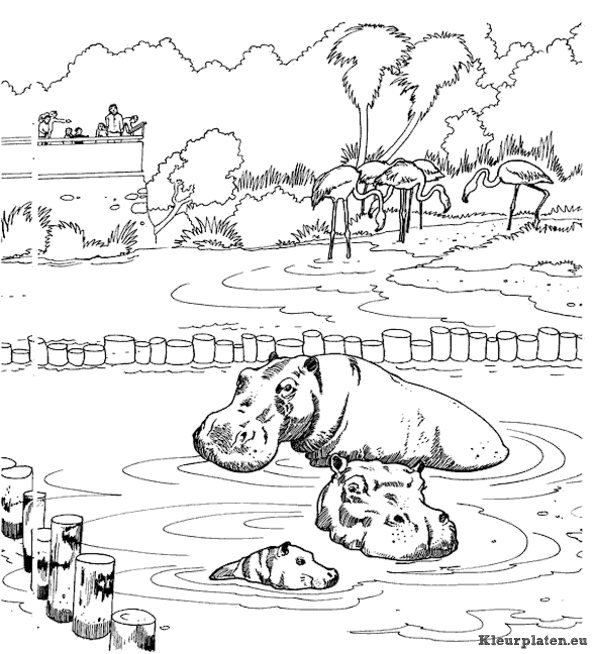 Dierentuin kleurplaten