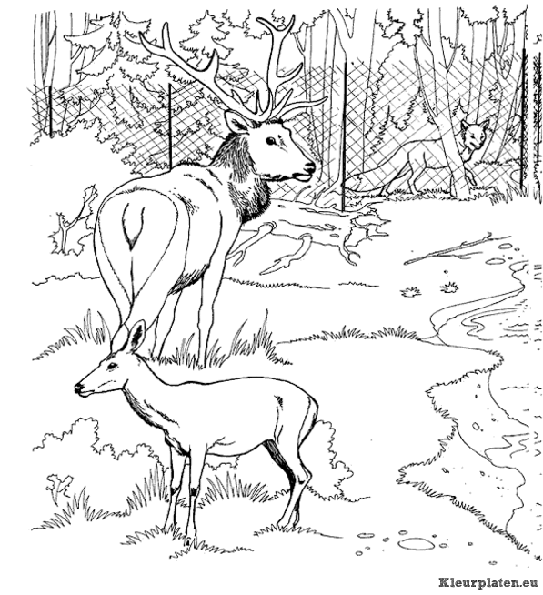 Dierentuin kleurplaten