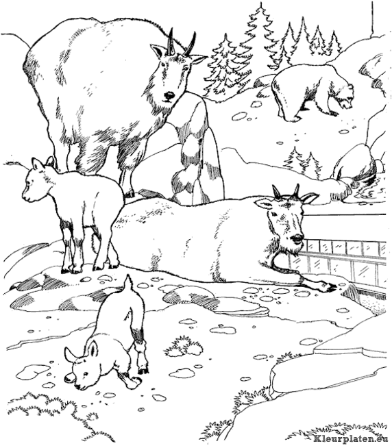 Dierentuin kleurplaten