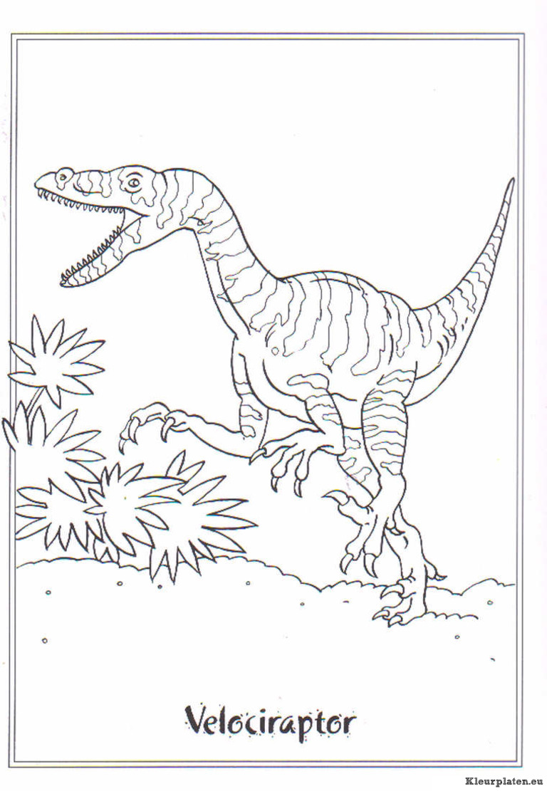 Dinosaurussen kleurplaat