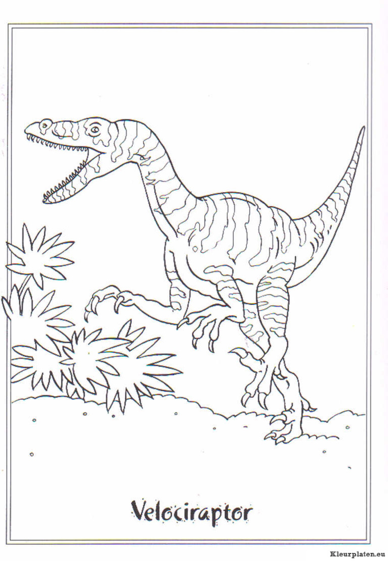 Dinosaurussen kleurplaten
