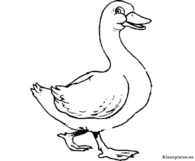 Eendjes kleurplaten