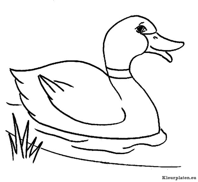 Eendjes kleurplaten