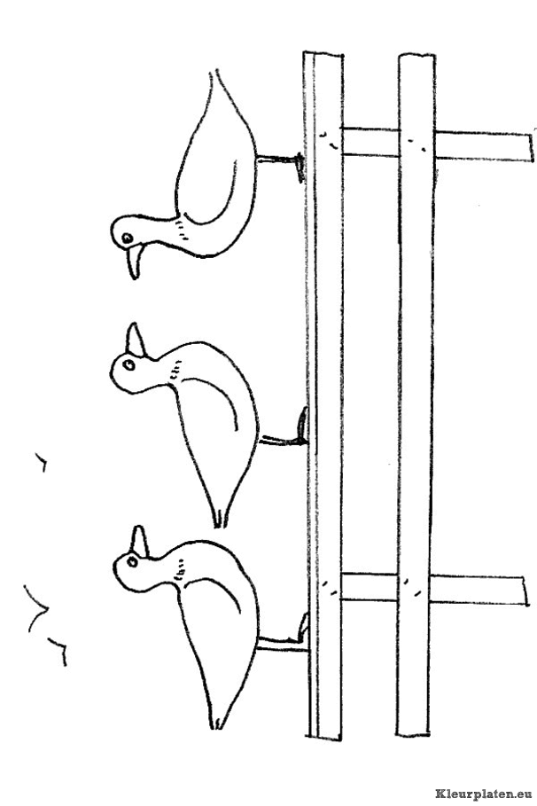 Eendjes kleurplaten