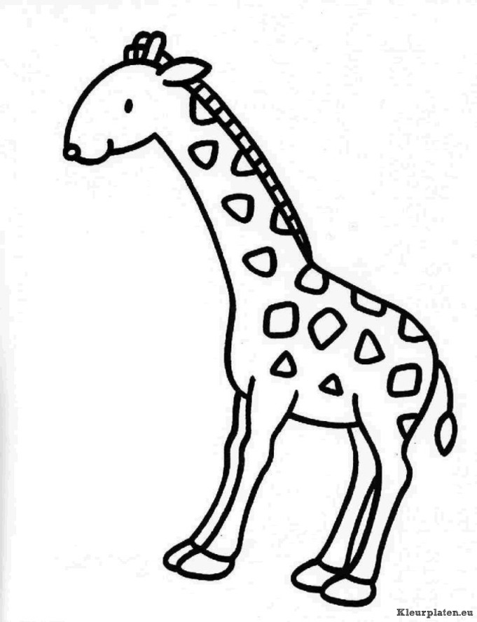 Giraffe kleurplaat