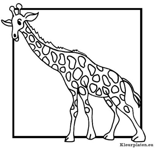 Giraffe kleurplaten