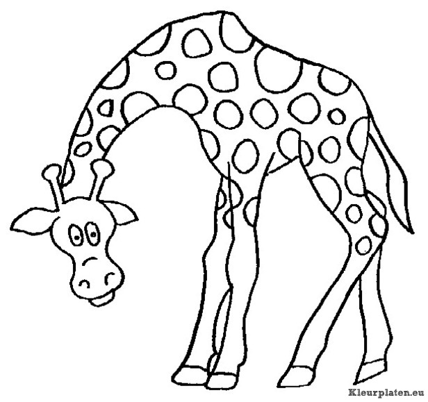 Giraffe kleurplaten