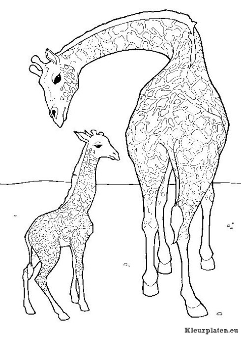 Giraffe kleurplaten