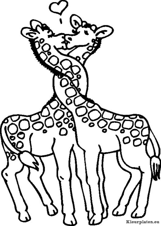 Giraffe kleurplaten