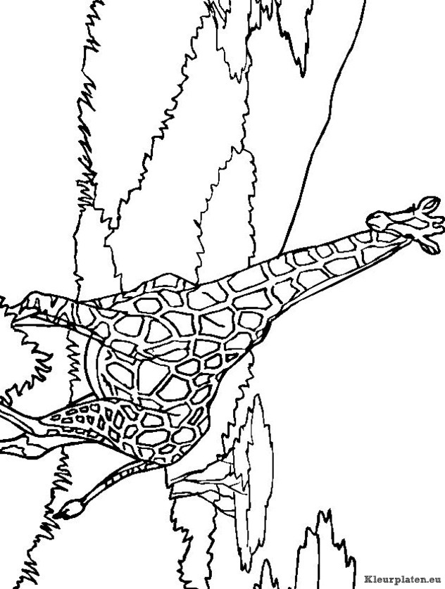 Giraffe kleurplaten