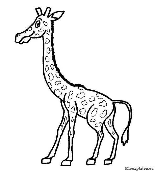 Giraffe kleurplaten