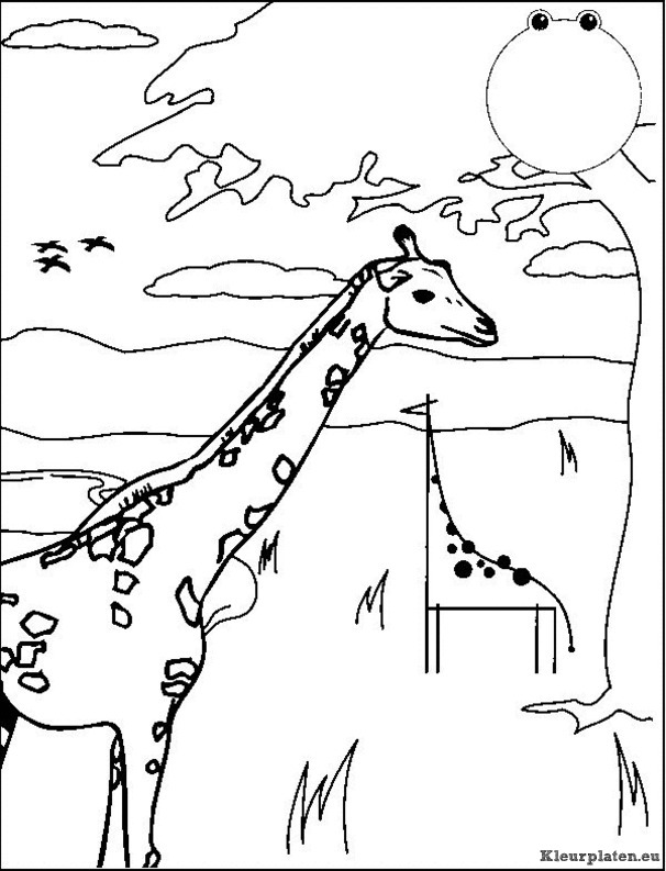 Giraffe kleurplaten