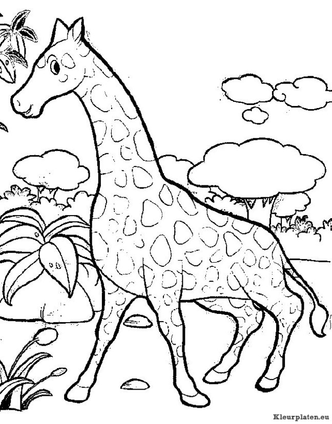 Giraffe kleurplaten