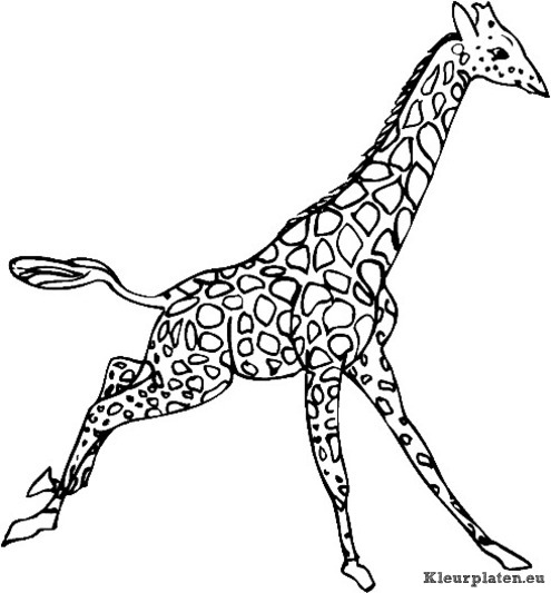 Giraffe kleurplaat