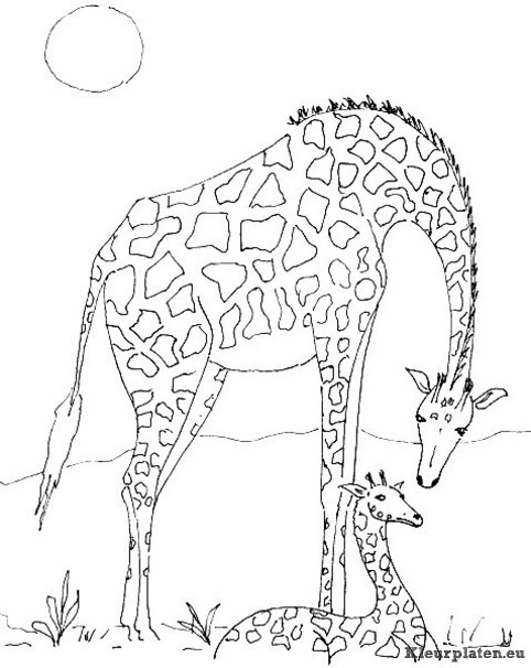 Giraffe kleurplaten