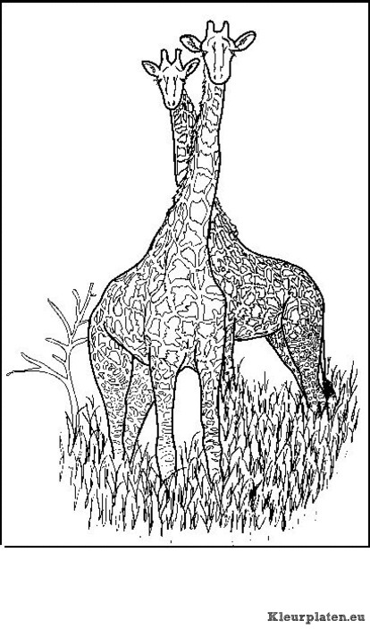 Giraffe kleurplaten