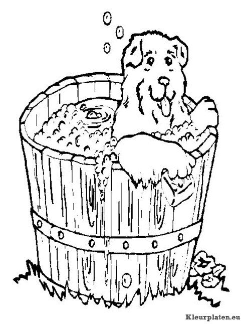 Honden kleurplaten