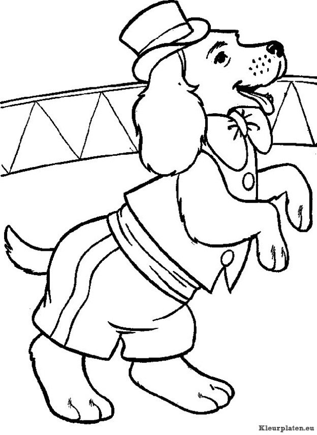 Honden kleurplaten
