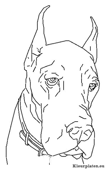 Honden kleurplaten