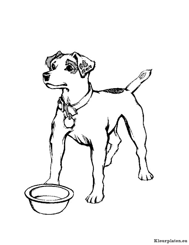 Honden kleurplaten