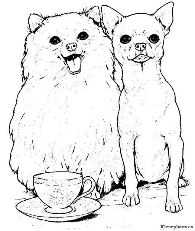 Honden kleurplaten