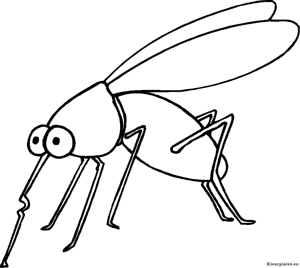 Insecten kleurplaten