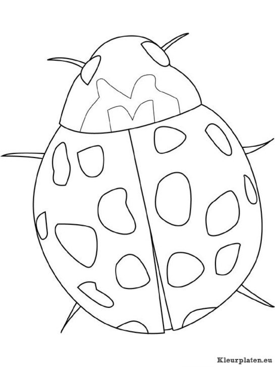 Insecten kleurplaten