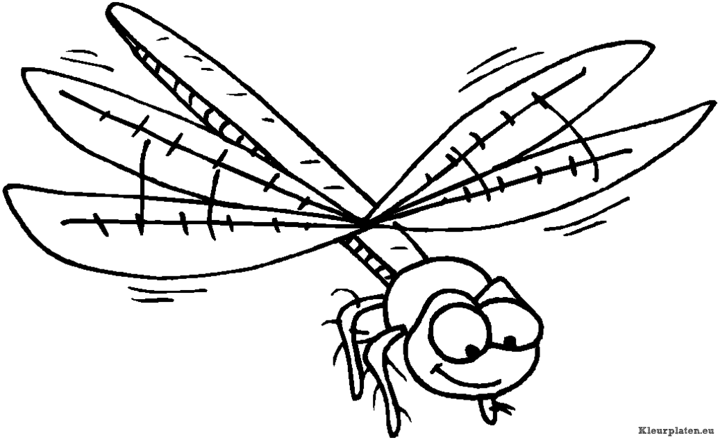 Insecten kleurplaten