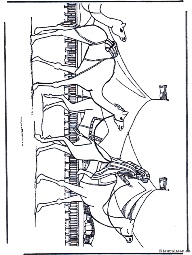 Kamelen kleurplaten