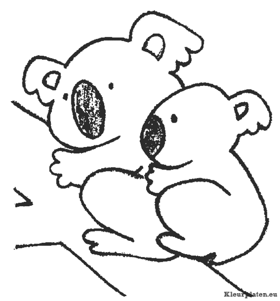Koala beertjes kleurplaten