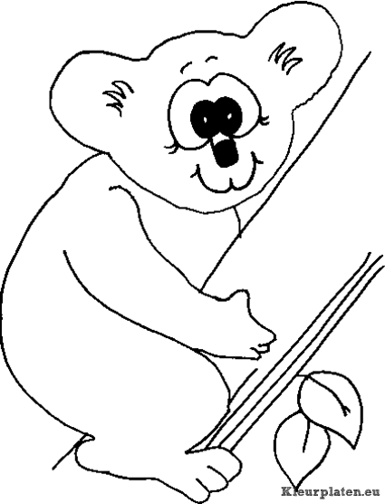 Koala beertjes kleurplaten