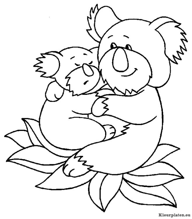 Koala beertjes kleurplaten